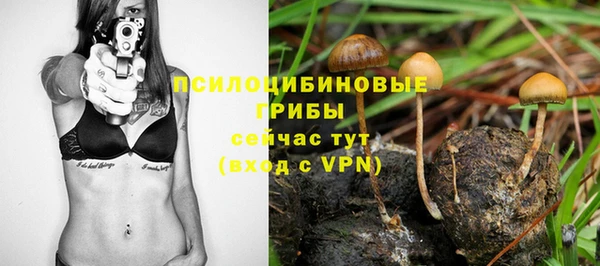 дживик Наволоки