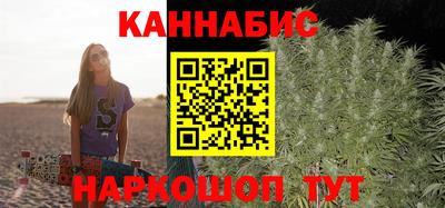 сатива Бийск