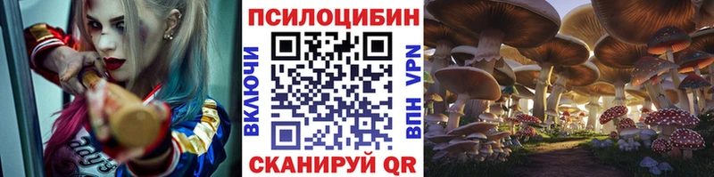 Псилоцибиновые грибы GOLDEN TEACHER  Выборг 