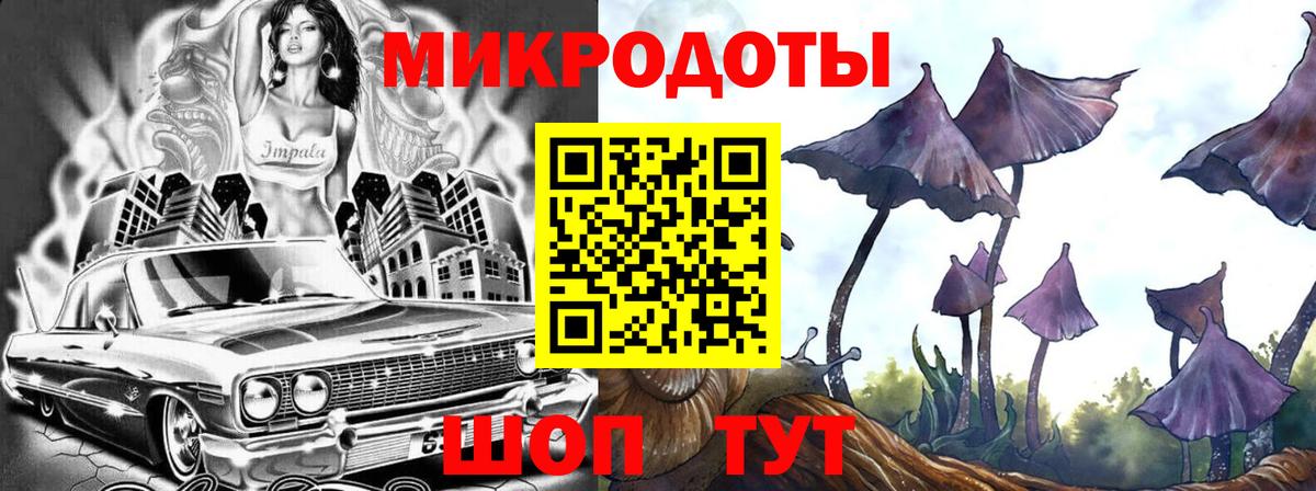 Псилоцибиновые грибы Psilocybe Выборг
