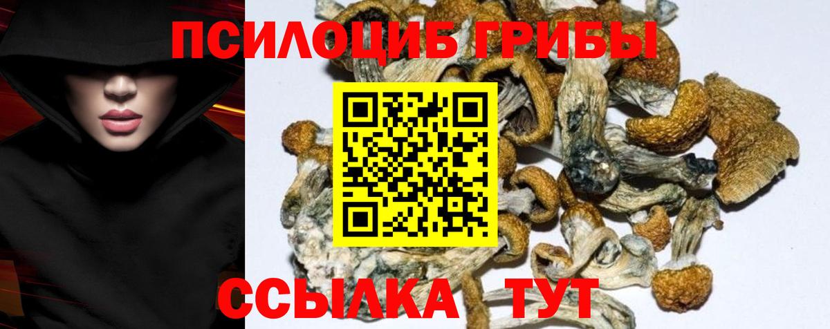 Галлюциногенные грибы прущие грибы  Вход с VPN  Выборг 