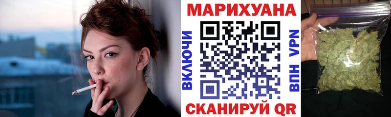 Каннабис сатива  Выборг 