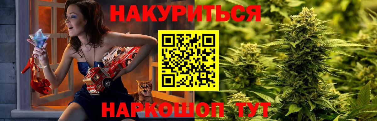 Бошки марихуана Bruce Banner  Вход с VPN  МАРИХУАНА марихуана  Выборг  Конопля тримм 